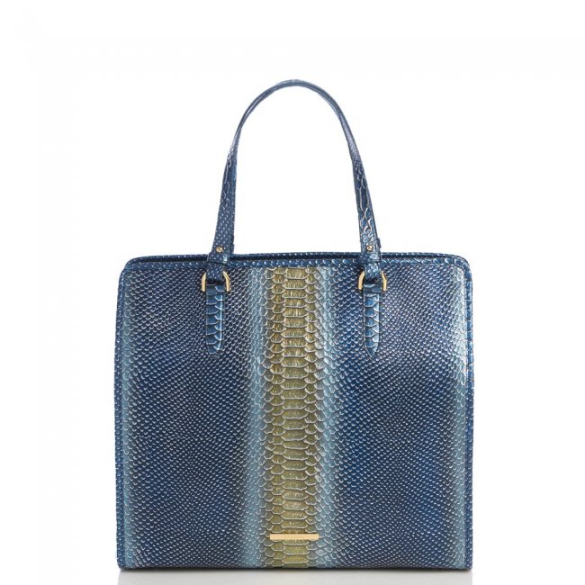 Brahmin Tia Serenity Meridian ID:Brahmin-202513