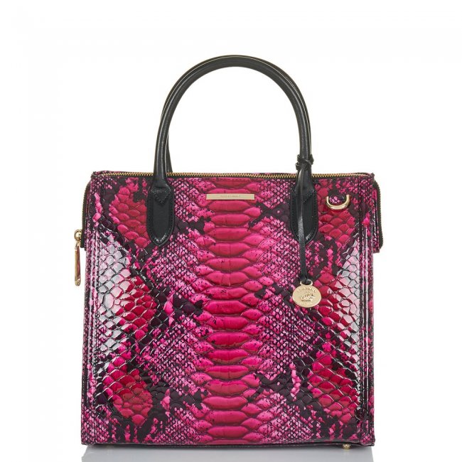 Brahmin Caroline Potion Ziggy ID:Brahmin-202558