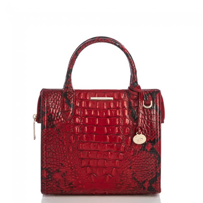 Brahmin Small Caroline Lipstick Ombre Melbourne ID:Brahmin-203174