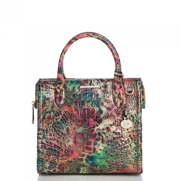 Brahmin Small Caroline Shapeshifter Melbourne ID:Brahmin-203014