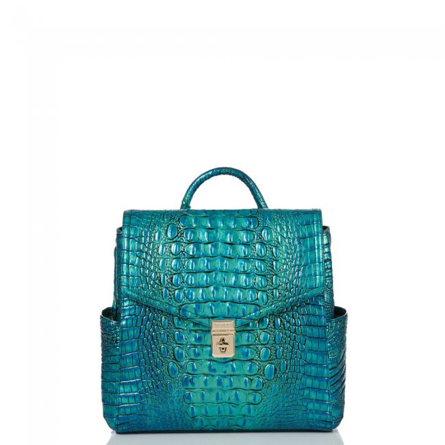 Brahmin Liz Peacock Melbourne ID:Brahmin-203530