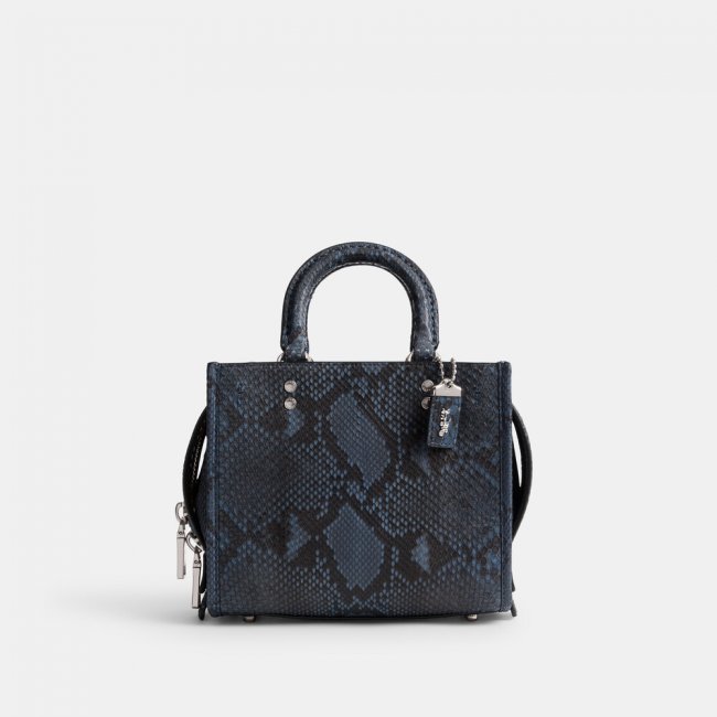 Coach Rogue 20 In Python - Blue