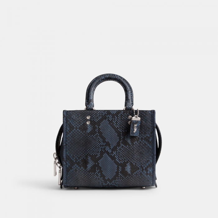Coach Rogue 20 In Python - Blue