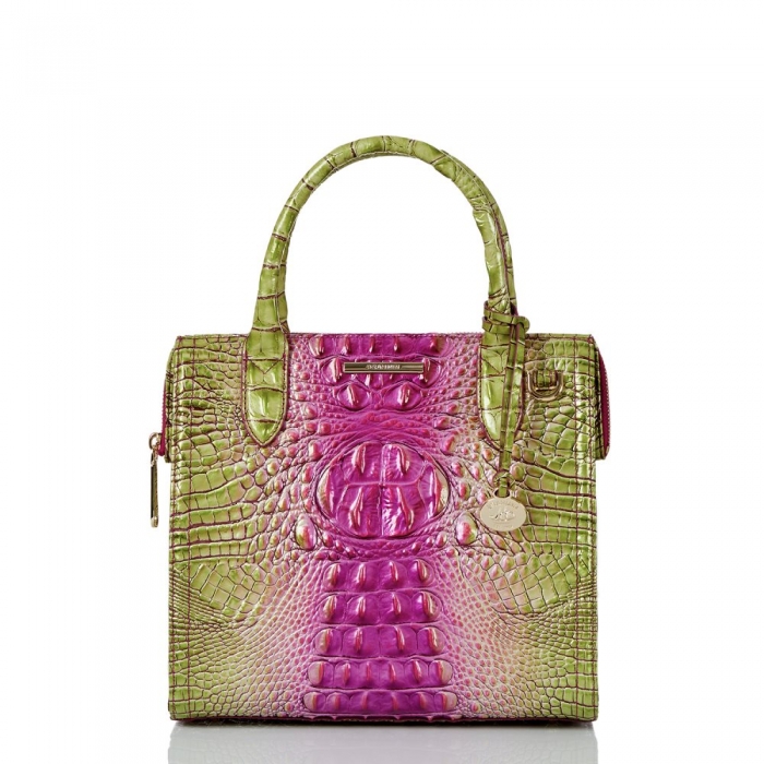 Brahmin Small Caroline Limeade Ombre Melbourne ID:Brahmin-203175