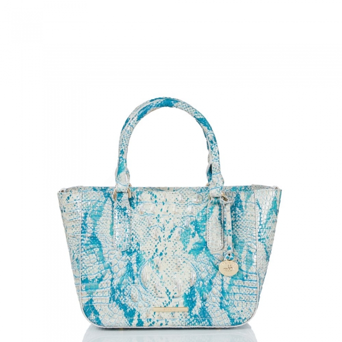 Brahmin Small Ashlee Mesmerized Melbourne ID:Brahmin-203243