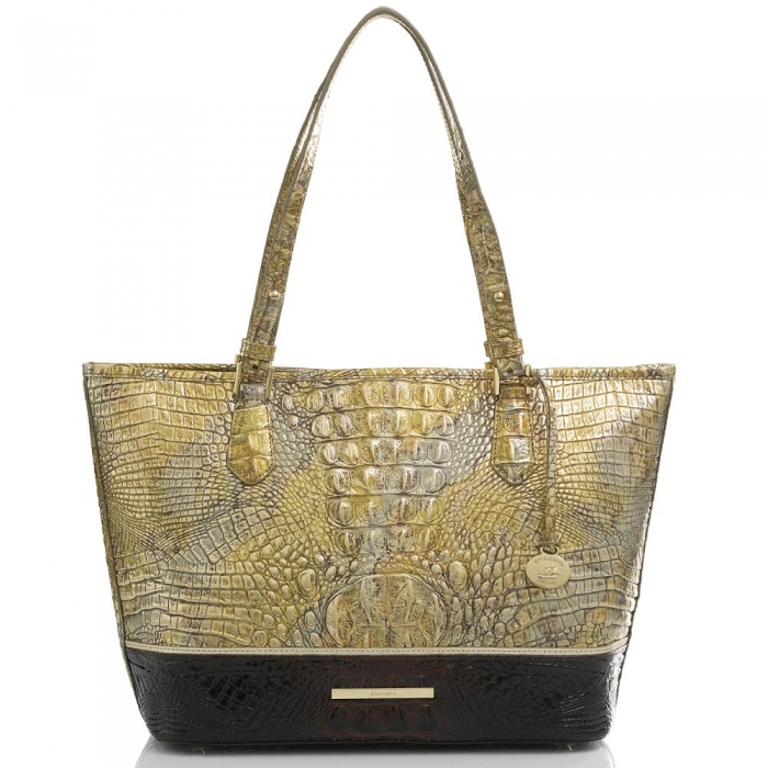 Brahmin Medium Asher Symphony Katla ID:Brahmin-202781