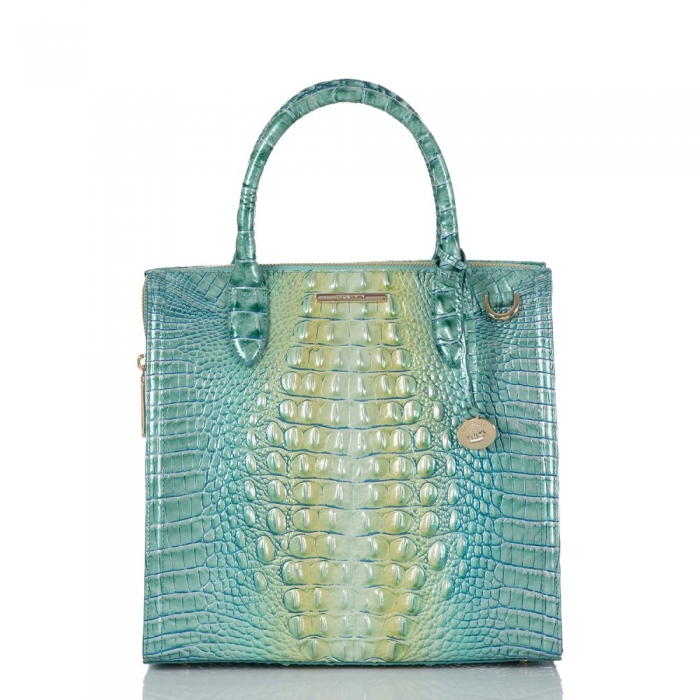 Brahmin Caroline Seafoam Ombre Melbourne ID:Brahmin-203129