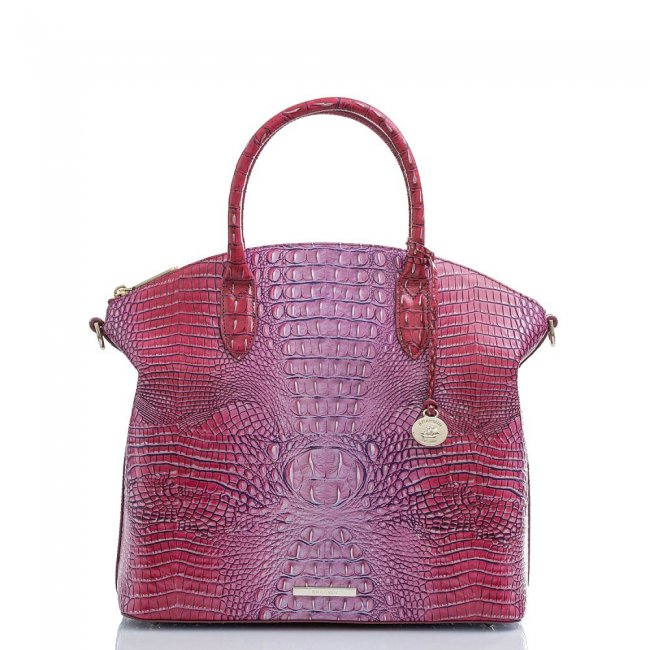 Brahmin Large Duxbury Satchel Jazzynova Ombre Mini Melbourne ID:Brahmin-202980