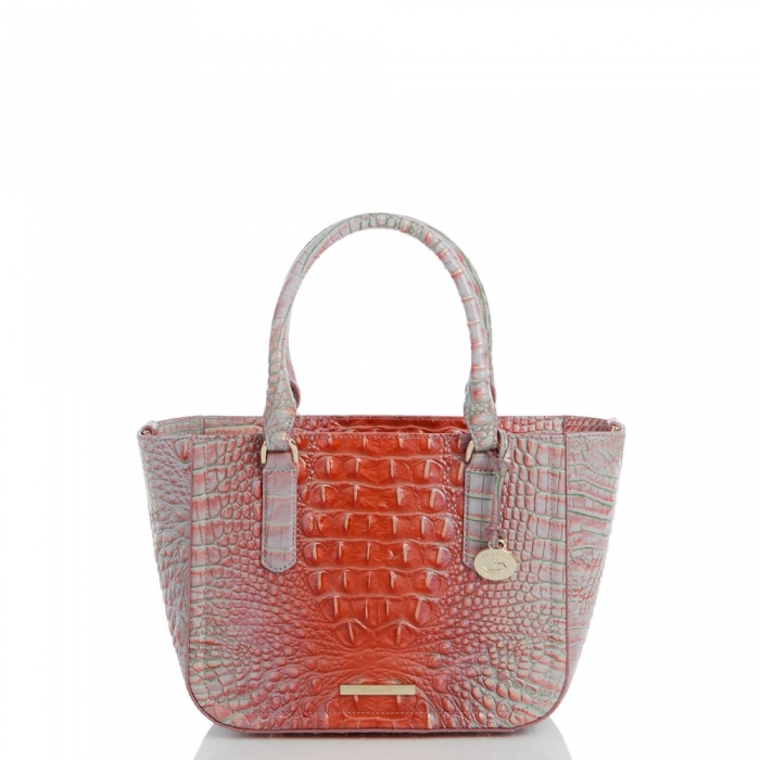 Brahmin Small Ashlee Flirty Ombre Melbourne ID:Brahmin-203238