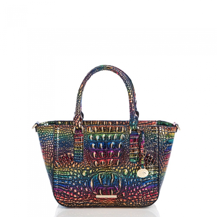 Brahmin Small Ashlee Technicolor Melbourne ID:Brahmin-203026