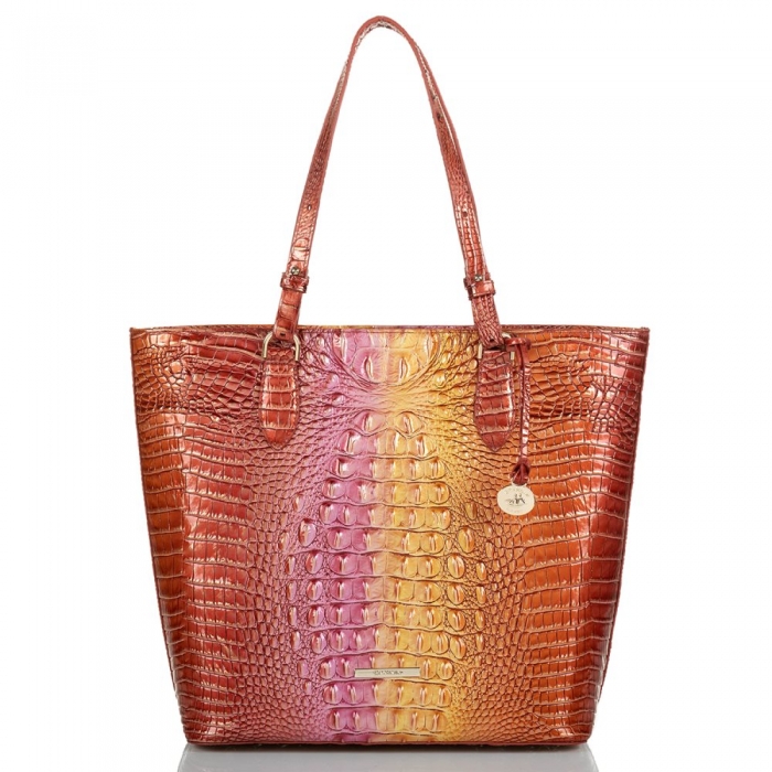 Brahmin Ellen Glam Ombre Melbourne ID:Brahmin-202846