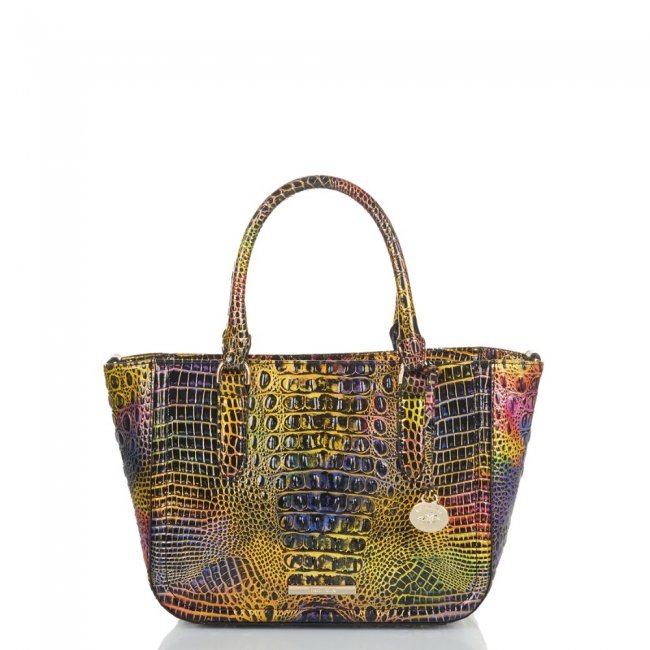 Brahmin Small Ashlee Neon Lights Mini Melbourne ID:Brahmin-203244