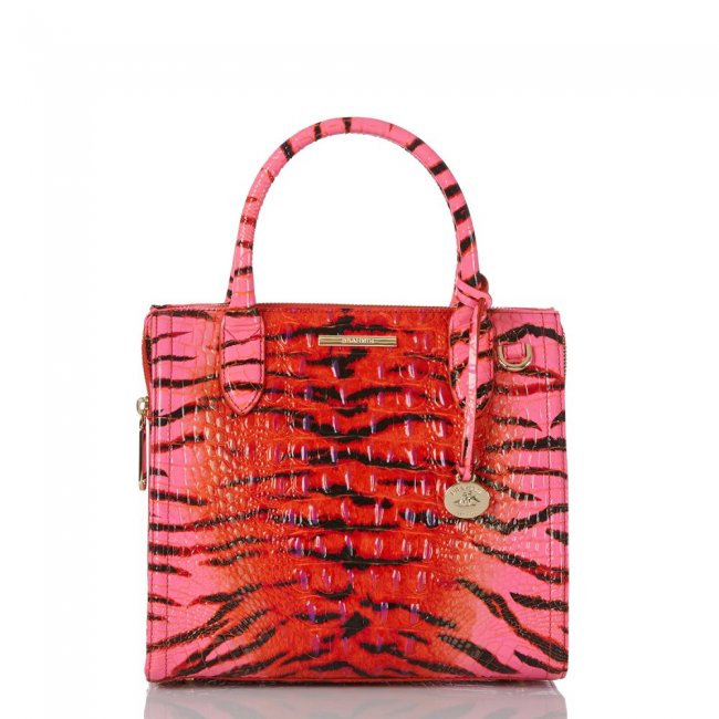 Brahmin Small Caroline Pink Feline Ombre Melbourne ID:Brahmin-203173