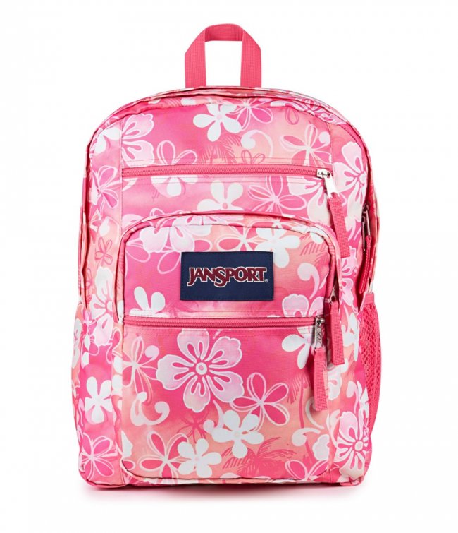 Jansport Big Student - Hiblisscus