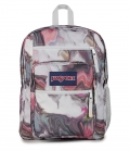 Jansport Big Student - Sylvia Burnstein Renassaince Jansport Big Student - Sylvia Burnstein Renassaince