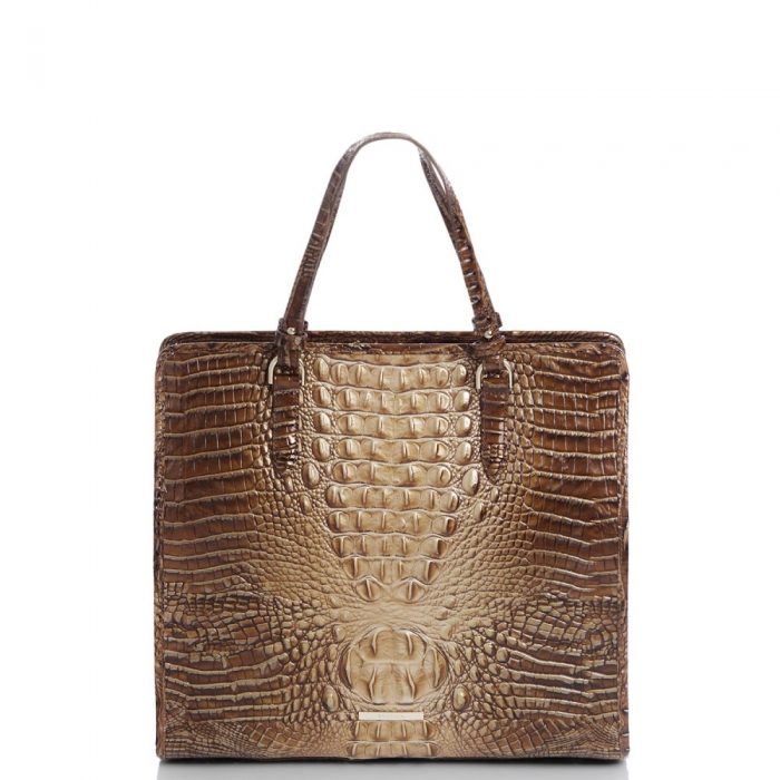 Brahmin Tia Teak Ombre Melbourne ID:Brahmin-202782