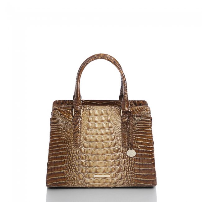 Brahmin Small Finley Teak Ombre Melbourne ID:Brahmin-203219