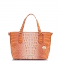 Brahmin Mini Misha Sherbert Ombre Melbourne ID:Brahmin-203015