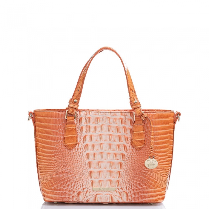 Brahmin Mini Misha Sherbert Ombre Melbourne ID:Brahmin-203015