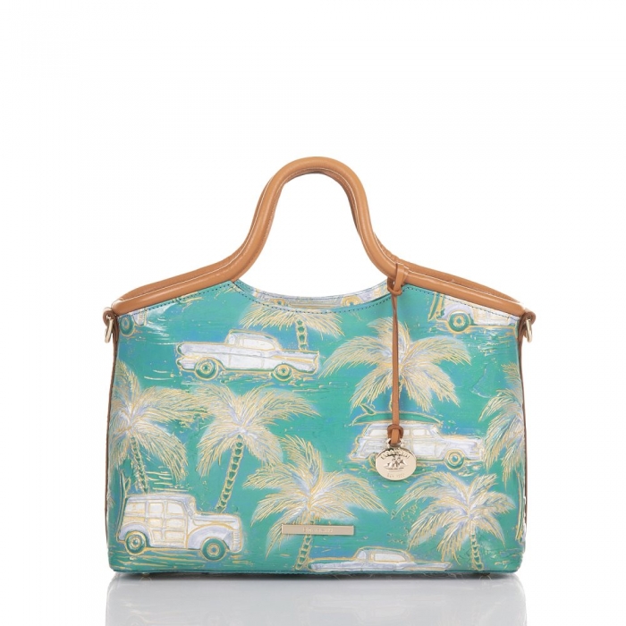 Brahmin Small Elaine Dream Copa Cabana ID:Brahmin-202963