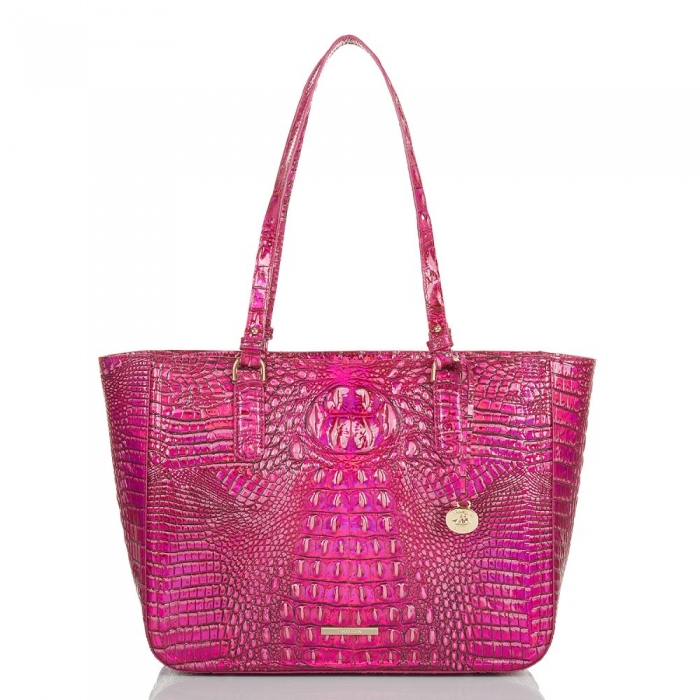 Brahmin Ashlee Potion Melbourne ID:Brahmin-202829