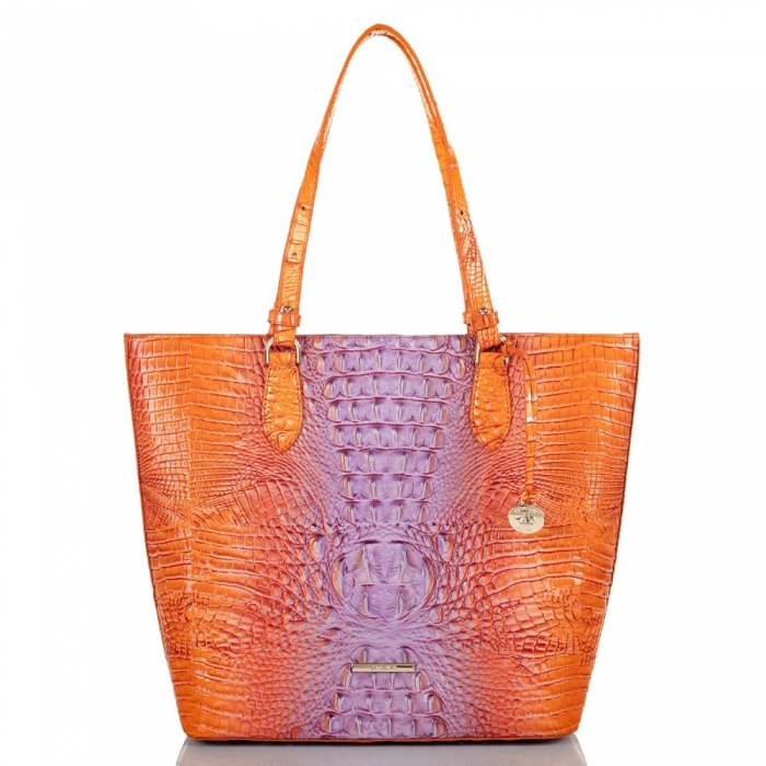 Brahmin Ellen Daiquiri Ombre Melbourne ID:Brahmin-202845