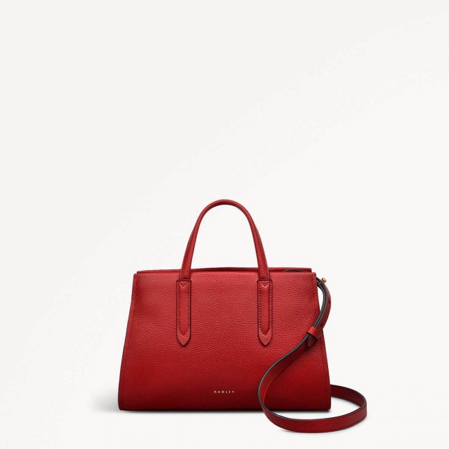 Radley London Arlington Court - Small Zip Around Grab - Poinsettia