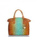 Brahmin Duxbury Satchel Cactus Ombre Melbourne ID:Brahmin-203058