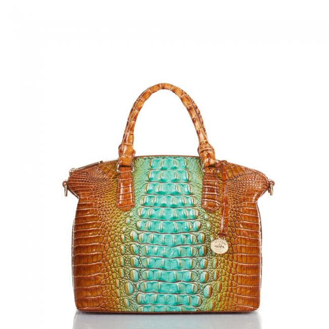 Brahmin Duxbury Satchel Cactus Ombre Melbourne ID:Brahmin-203058