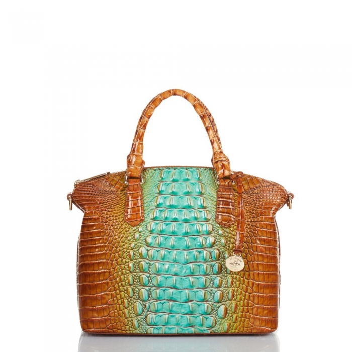 Brahmin Duxbury Satchel Cactus Ombre Melbourne ID:Brahmin-203058