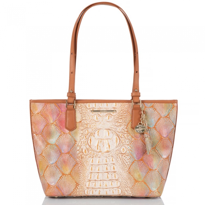 Brahmin Medium Asher Scallop Bondi ID:Brahmin-202772