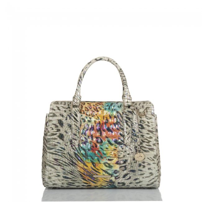 Brahmin Small Finley Obsession Ombre Melbourne ID:Brahmin-203222