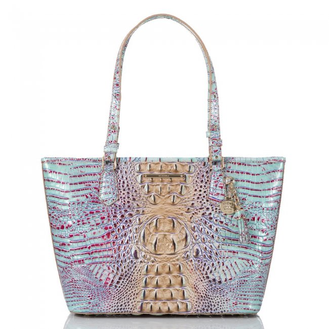 Brahmin Medium Asher Seltzer Ombre Melbourne ID:Brahmin-202774