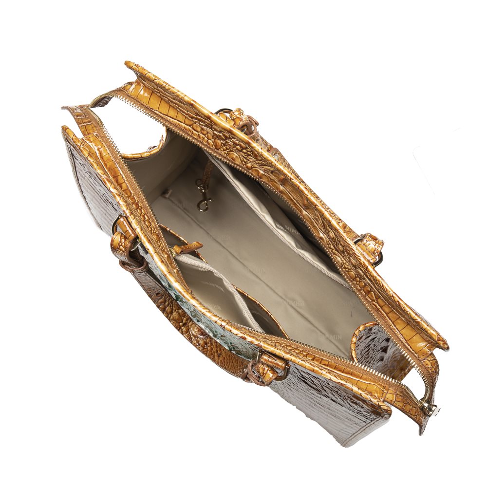 Brahmin Tia Cactus Ombre Melbourne ID:Brahmin-202722