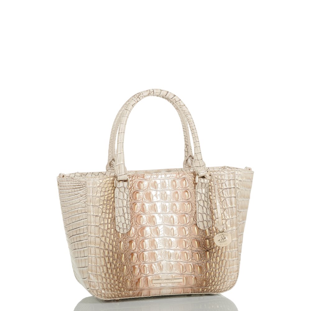 Brahmin Small Ashlee Scallop Ombre Melbourne ID:Brahmin-203236