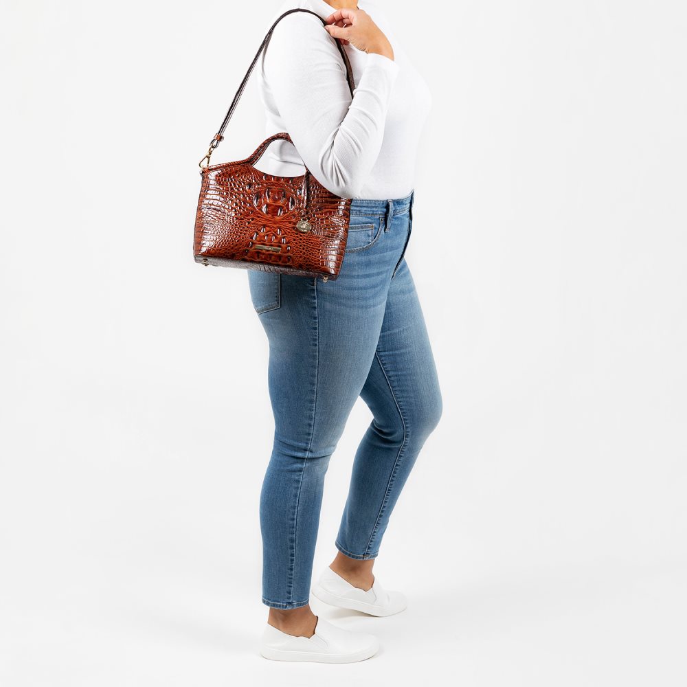 Brahmin Small Elaine Technicolor Melbourne ID:Brahmin-203025