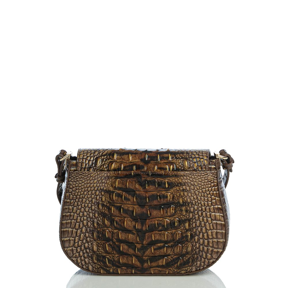 Brahmin Small Nadine Instinct Ombre Melbourne ID:Brahmin-203327