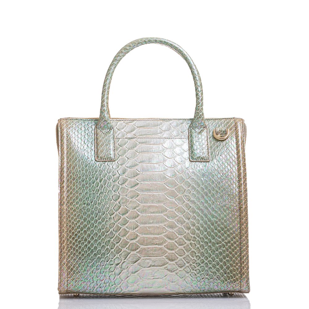 Brahmin Caroline Green Velocity ID:Brahmin-202974