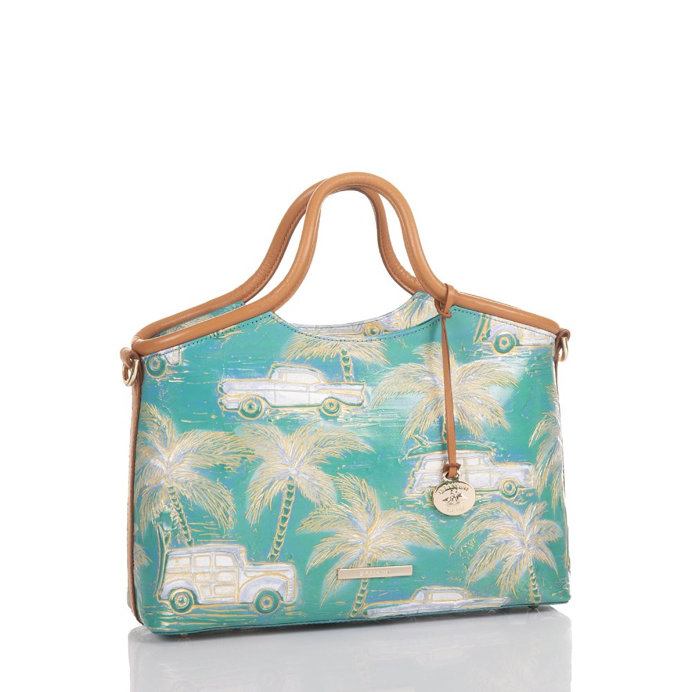 Brahmin Small Elaine Dream Copa Cabana ID:Brahmin-202963