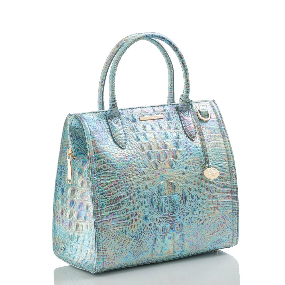 Brahmin Caroline Wonderland Melbourne ID:Brahmin-203121