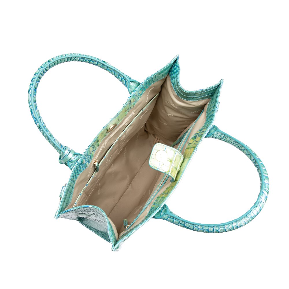 Brahmin Monique Seafoam Ombre Melbourne ID:Brahmin-202820