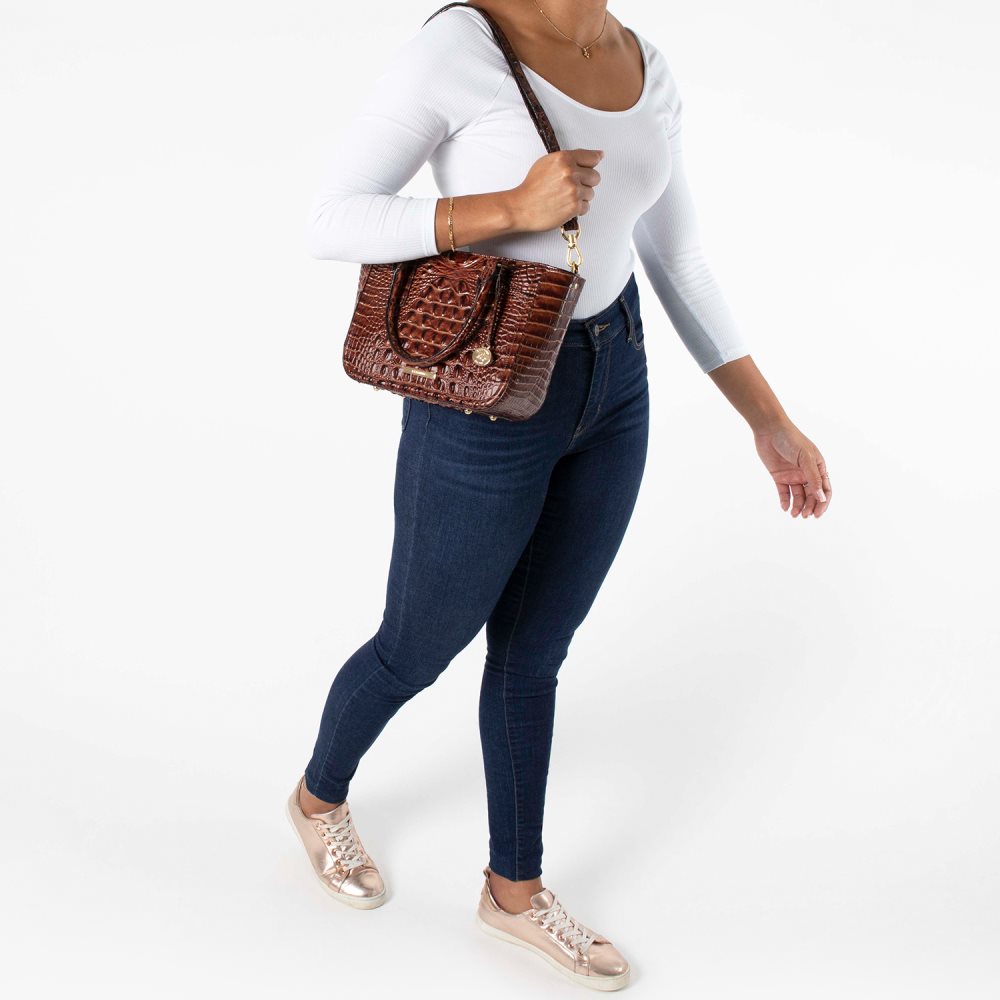 Brahmin Small Ashlee Glam Ombre Melbourne ID:Brahmin-203239