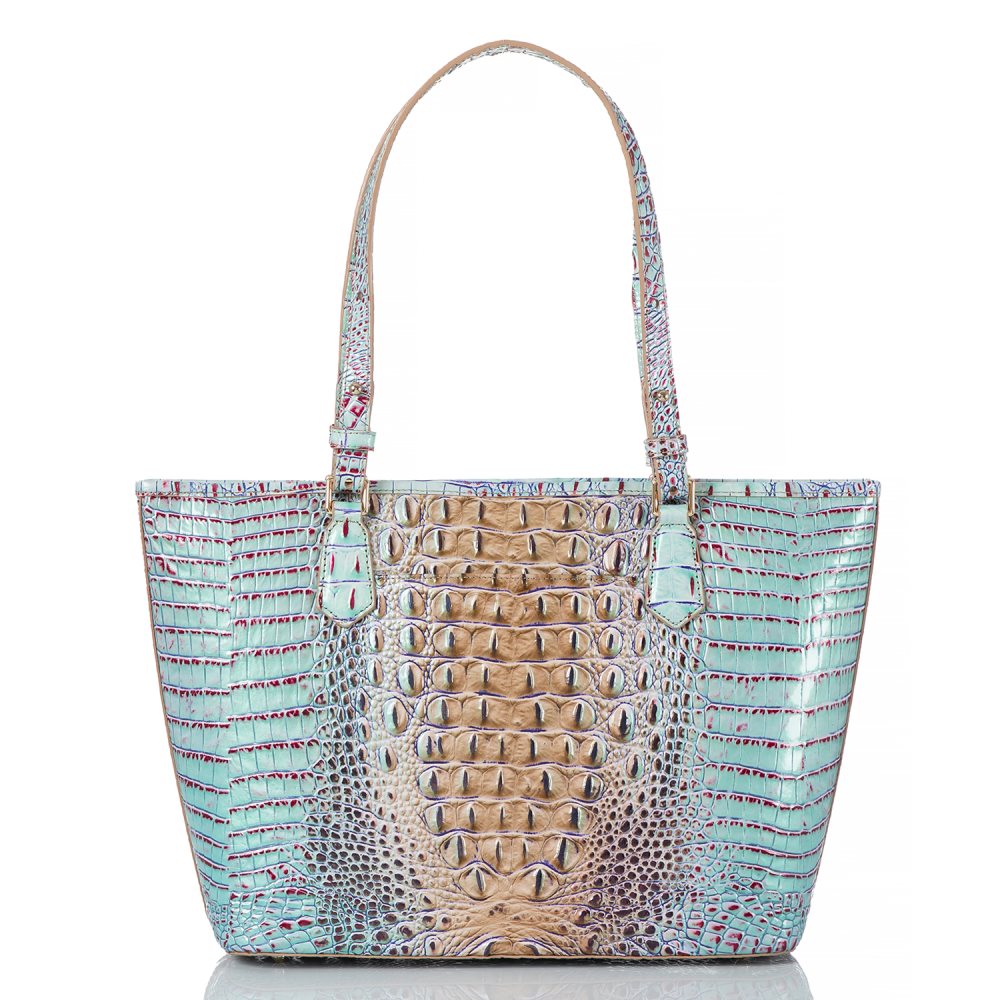 Brahmin Medium Asher Seltzer Ombre Melbourne ID:Brahmin-202774