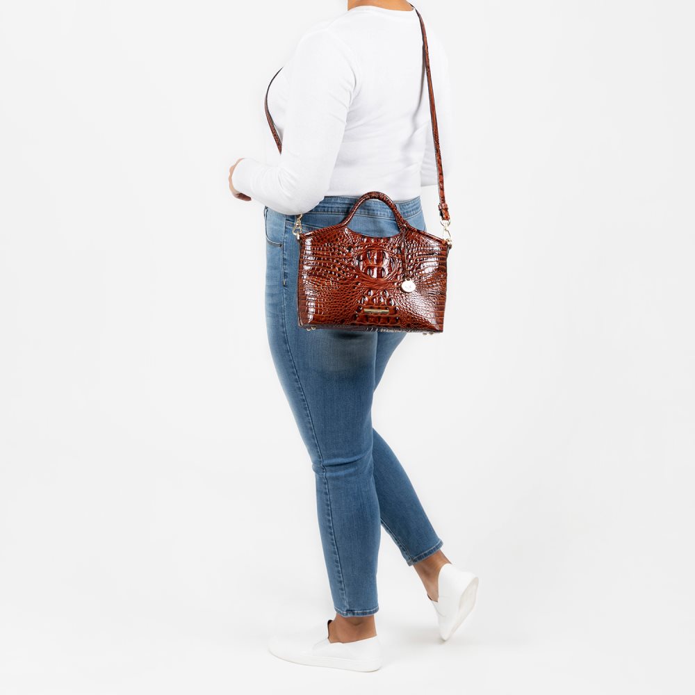 Brahmin Small Elaine Obsession Ombre Melbourne ID:Brahmin-203193