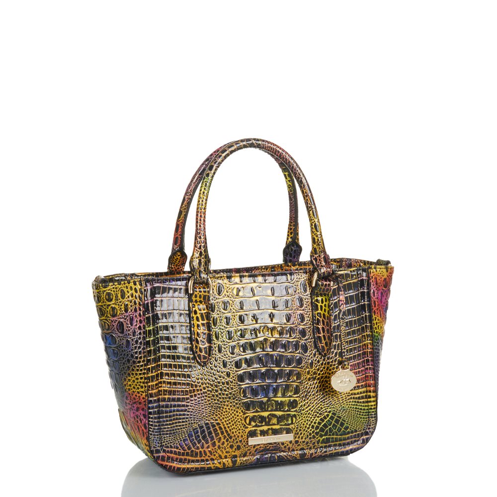 Brahmin Small Ashlee Neon Lights Mini Melbourne ID:Brahmin-203244