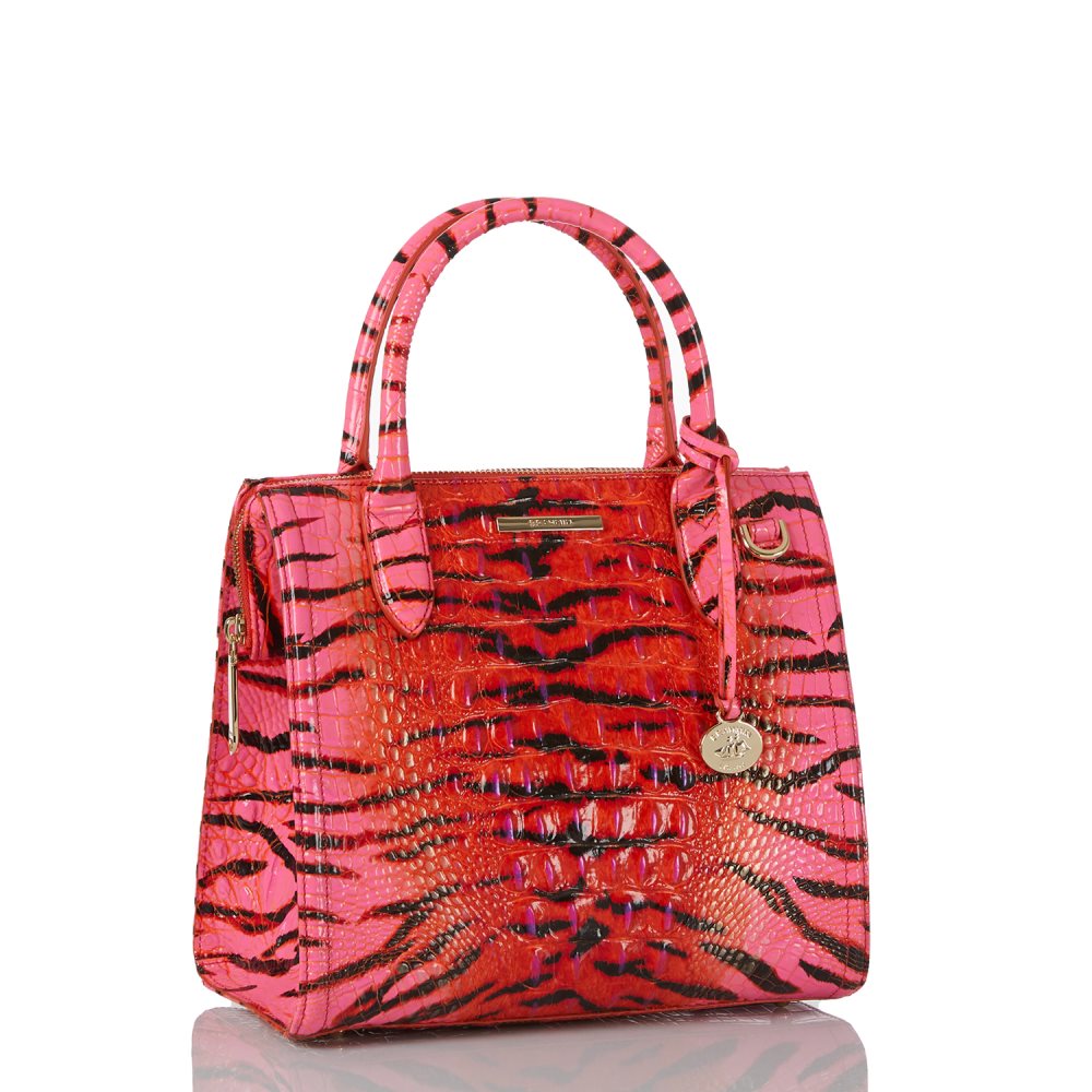 Brahmin Small Caroline Pink Feline Ombre Melbourne ID:Brahmin-203173