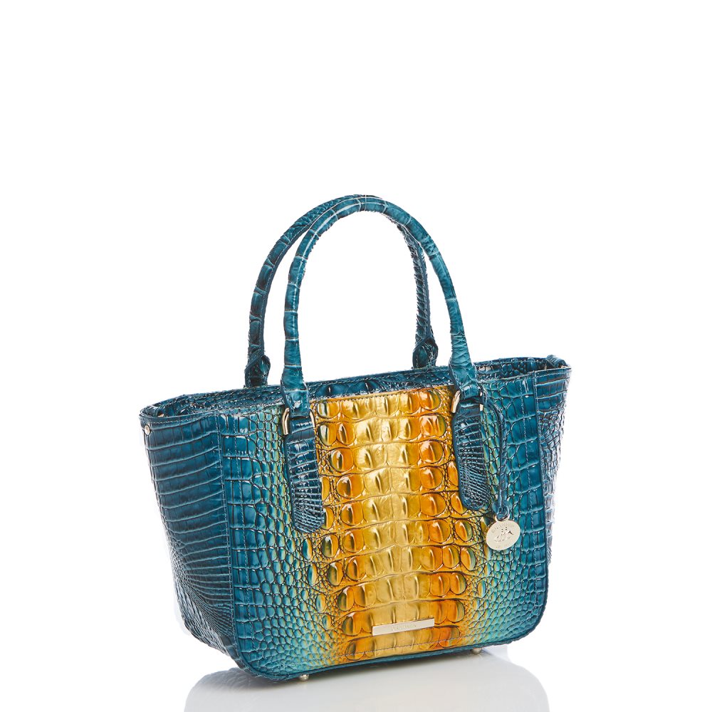 Brahmin Small Ashlee Bermuda Ombre Melbourne ID:Brahmin-203237