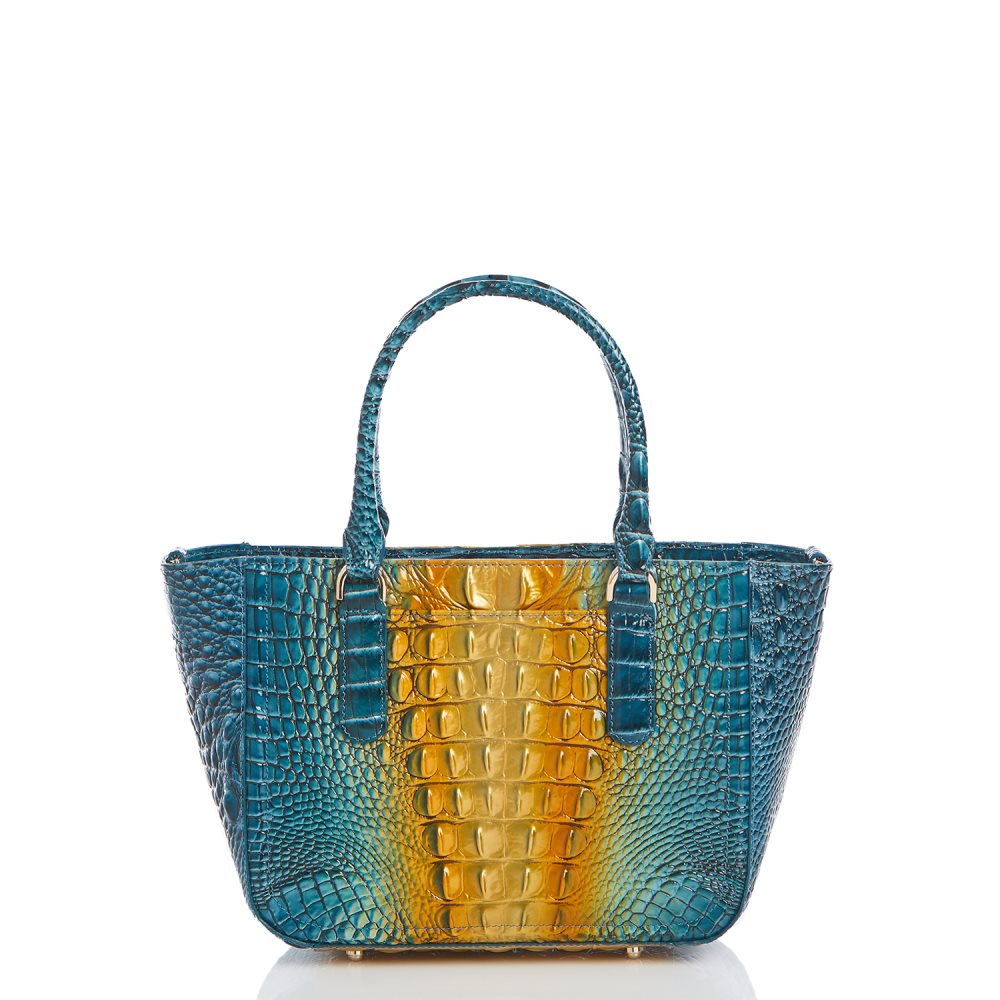 Brahmin Small Ashlee Bermuda Ombre Melbourne ID:Brahmin-203237