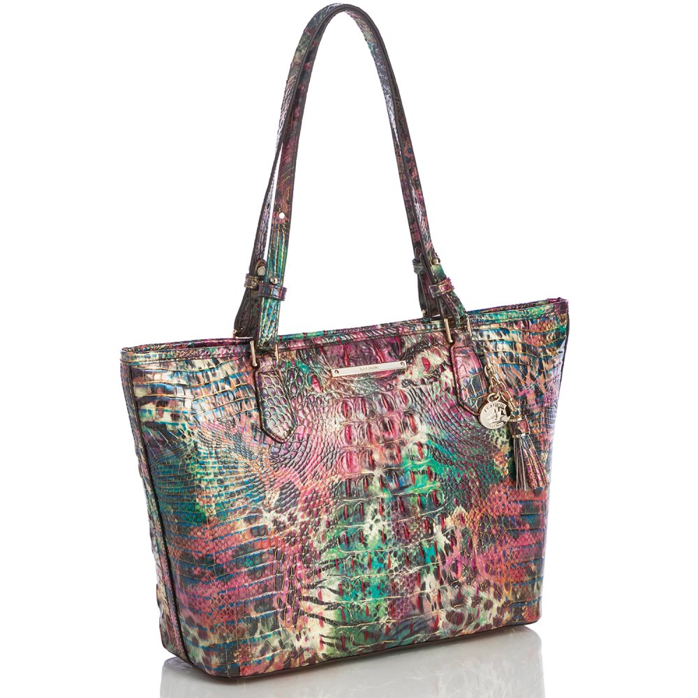 Brahmin Medium Asher Shapeshifter Melbourne ID:Brahmin-202776